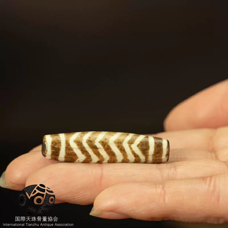 チベット▪ミレニアム・パンテック木の化石水紋珠天珠